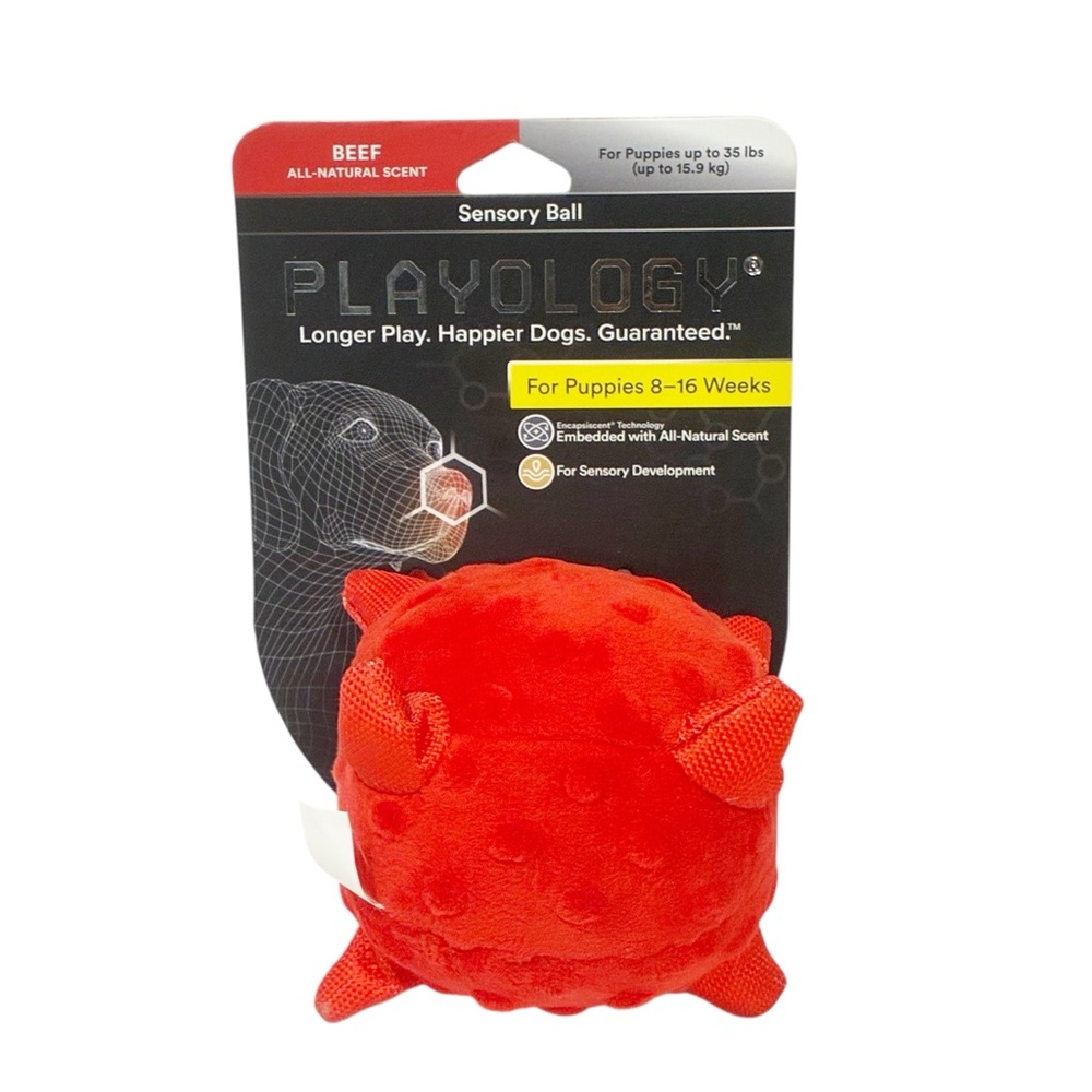 Playology Ball for Sensory Development Red All Natural Beef Scent Dog Puppy Toy‎